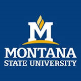 Montana State University--Billings