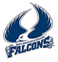 St. Augustine's University